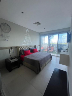 lujoso departamento con hermosa vista
